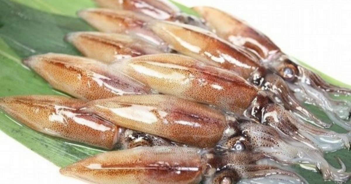 生ホタルイカ いかなごの釜揚げ 今しか食べれない旬の食材入荷しました
